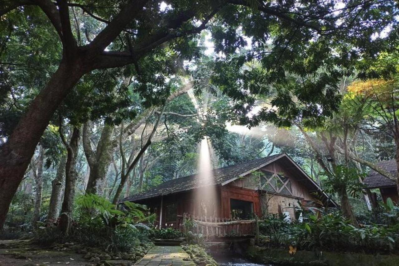 Imah Seniman Hotel Lembang Ngoại thất bức ảnh