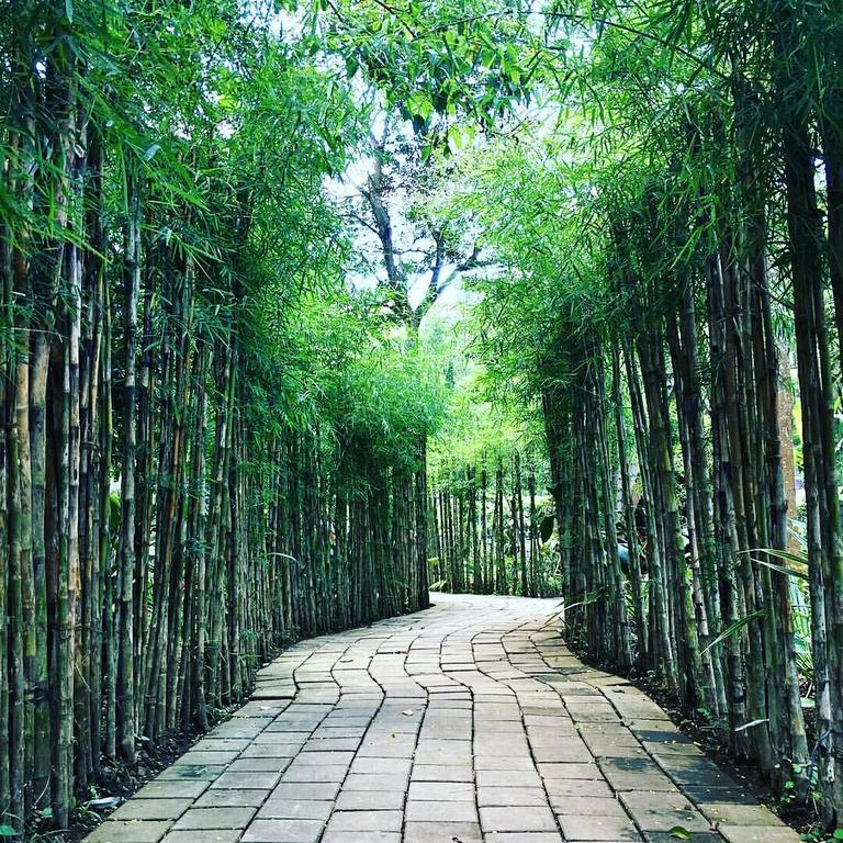 Imah Seniman Hotel Lembang Ngoại thất bức ảnh